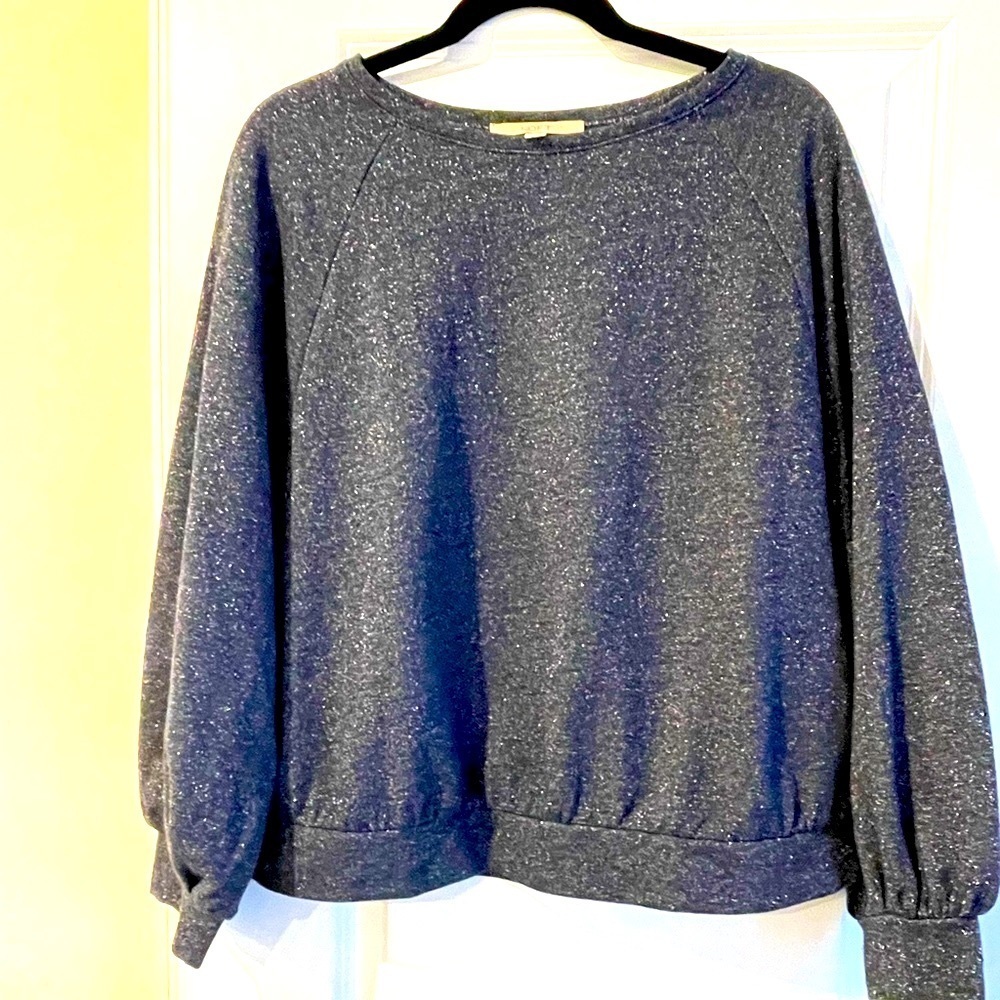 Loft sparkle pullover. Says M runs more like Lg
